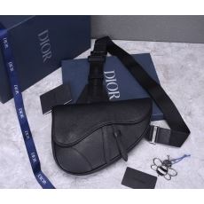 Mens Christian Dior Waist Chest Packs